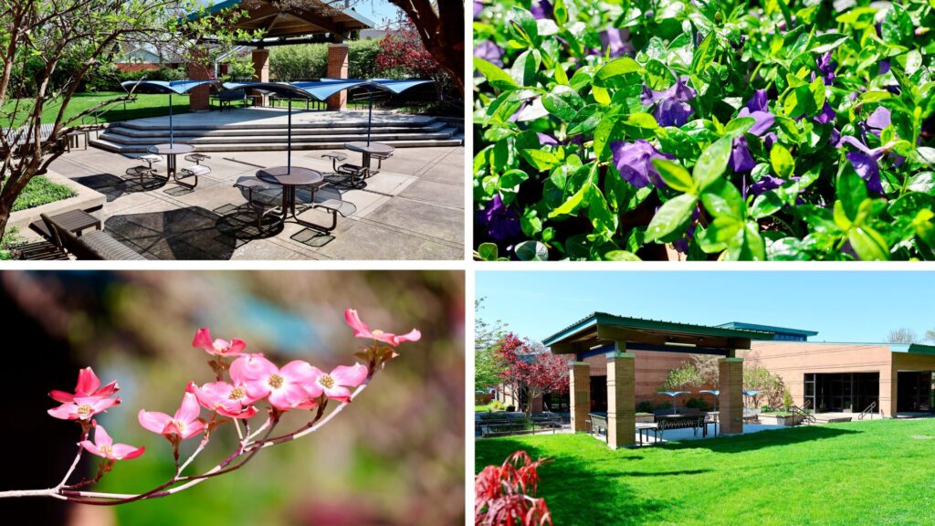 The Bittersweet Branch Courtyard filled with lush trees, flowers and plants with ample outdoor seating.