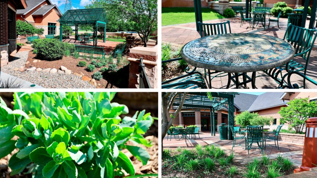 The Harris Branch Courtyard filled with lush trees and foliage with ample outdoor seating.