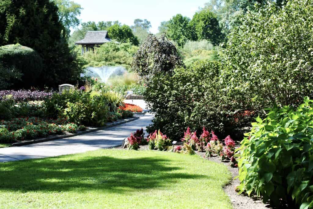 A Wellfield Botanic Gardens' paved path surrounded by various trees, flowers and grass.